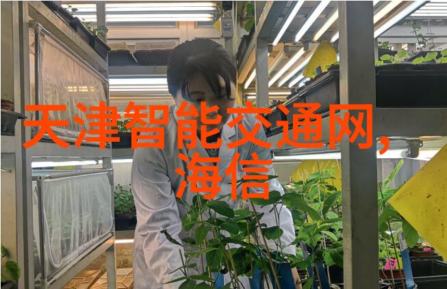 应用商店下载-探索数字世界应用商店下载指南