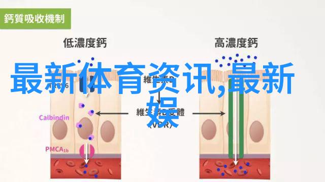 全球汽车芯片十强引领智能驾驶的关键技术