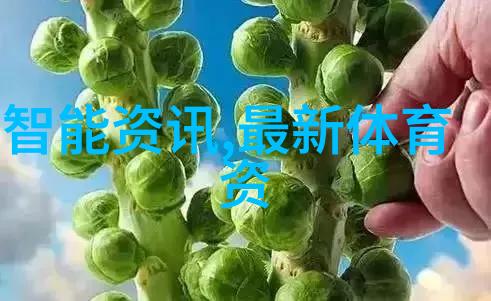 深圳市市场监督管理局-深度探究深圳市市场监督管理局如何维护消费者权益与促进经济健康发展