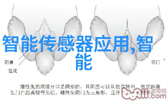 智能互联网 - 智能互联时代如何构建安全可靠的网络空间