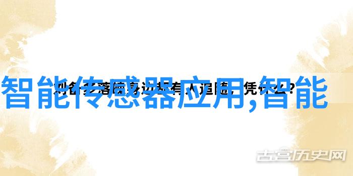 主题我来告诉你中国四大检测公司的秘密