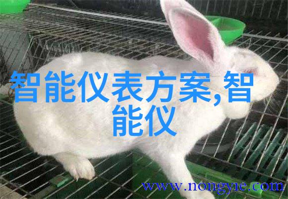 ZOOMSERVO激发创新构建未来服务业格局