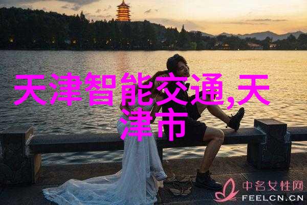 上海交大招生办揭秘最新高招政策背后的神秘之门将如何开启