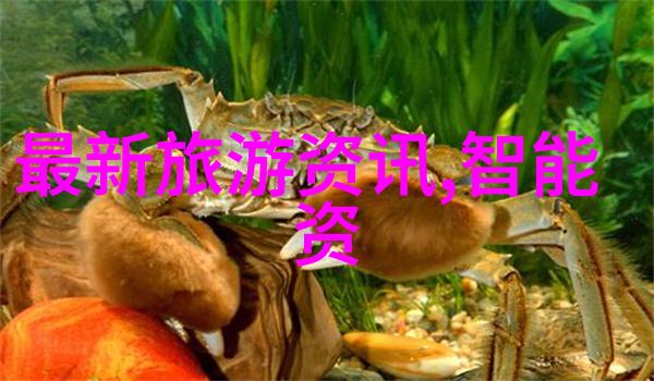 全球芯片巨头激烈竞争2023年最强芯片排行榜揭晓