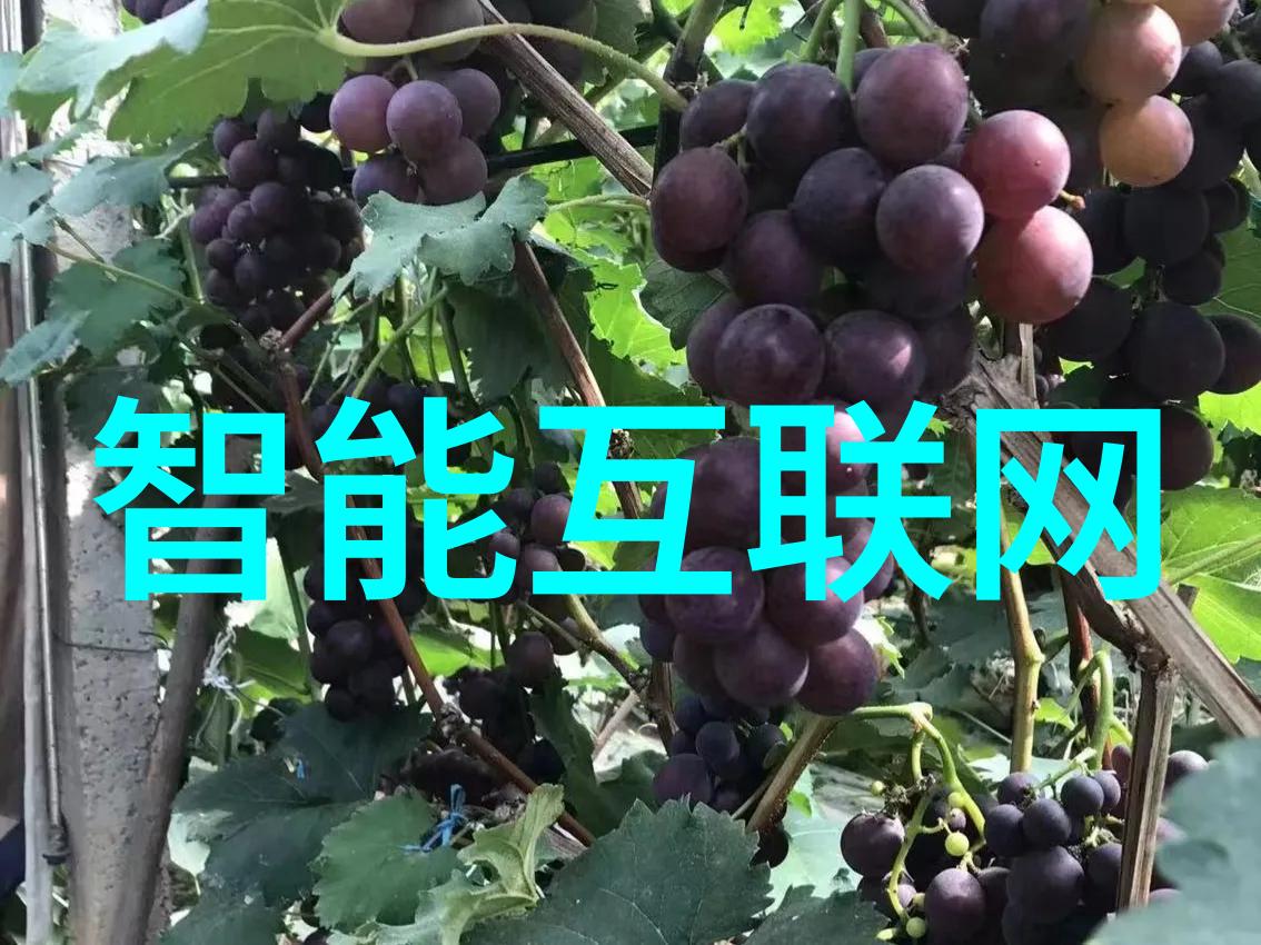 智能仪表方案精确监测未来