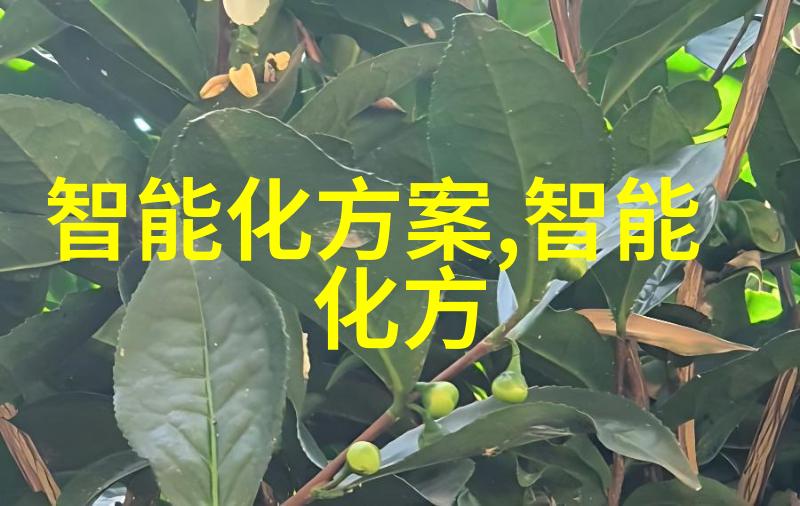 半导体 集成电路 芯片-微缩奇迹半导体芯片的设计与制造之谜