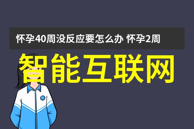 从零到英雄编制一份成功的项目申请书指南